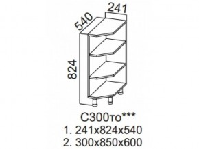 С300то Стол-рабочий 300 (торцевой открытый) в Покачах - pokachi.магазин96.com | фото