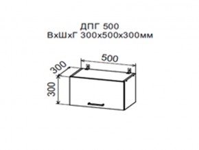 Шкаф верхний ДПГ500 горизонтальный в Покачах - pokachi.магазин96.com | фото