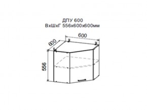 Шкаф верхний ДПУ600 угловой в Покачах - pokachi.магазин96.com | фото